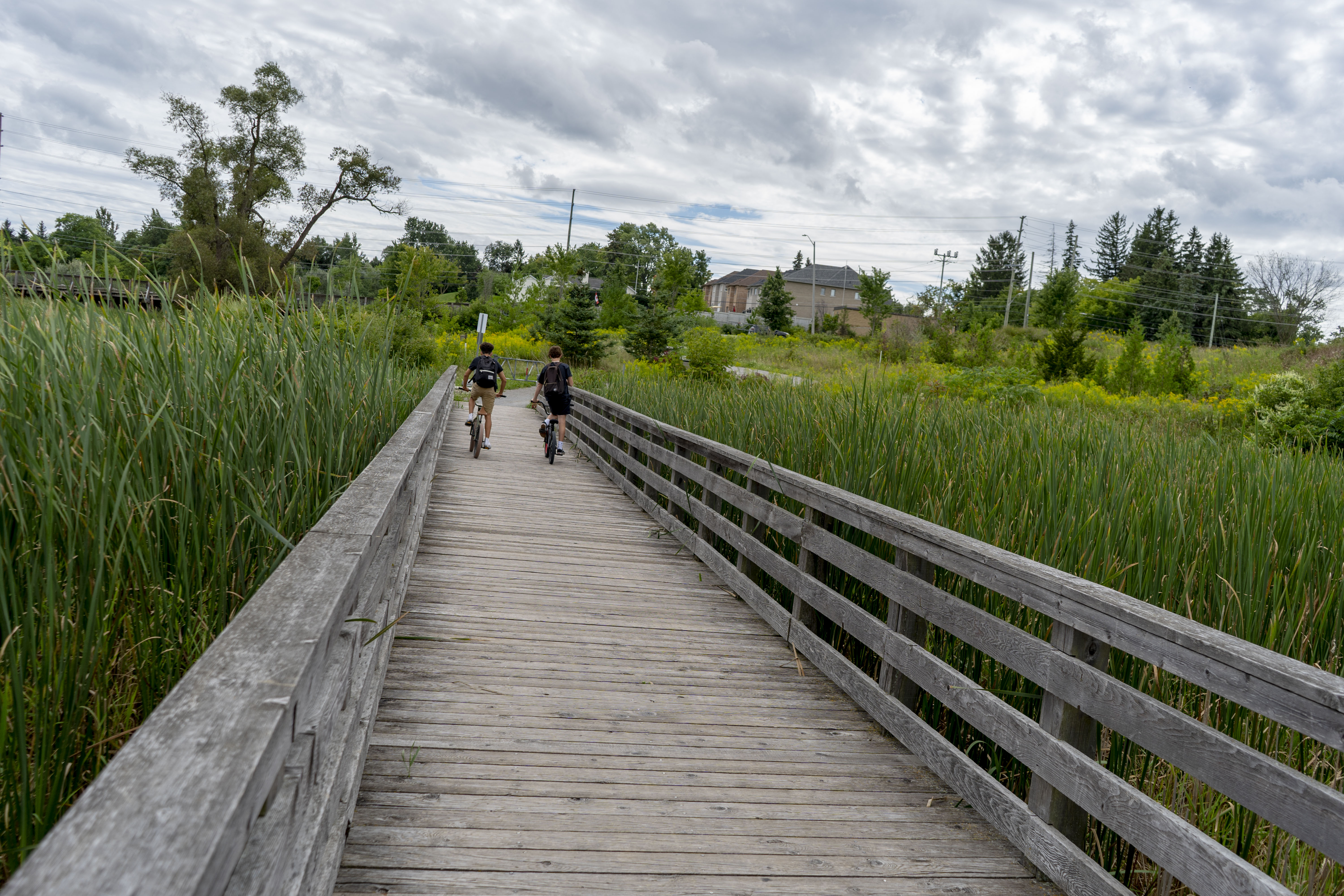 2 people biking along the boardwalk on the Tim Jones Trail