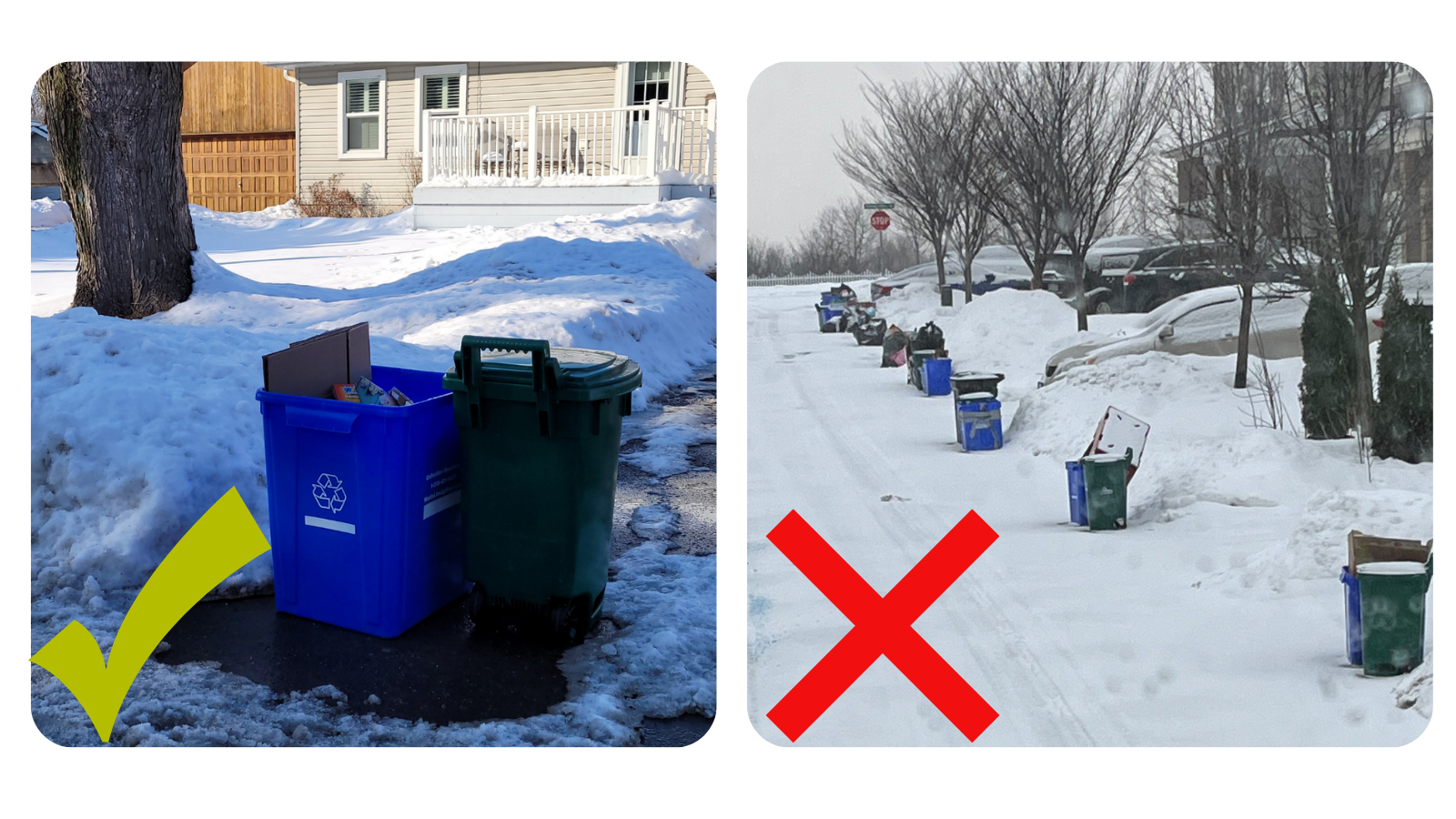 Image of correct and incorrect waste setout