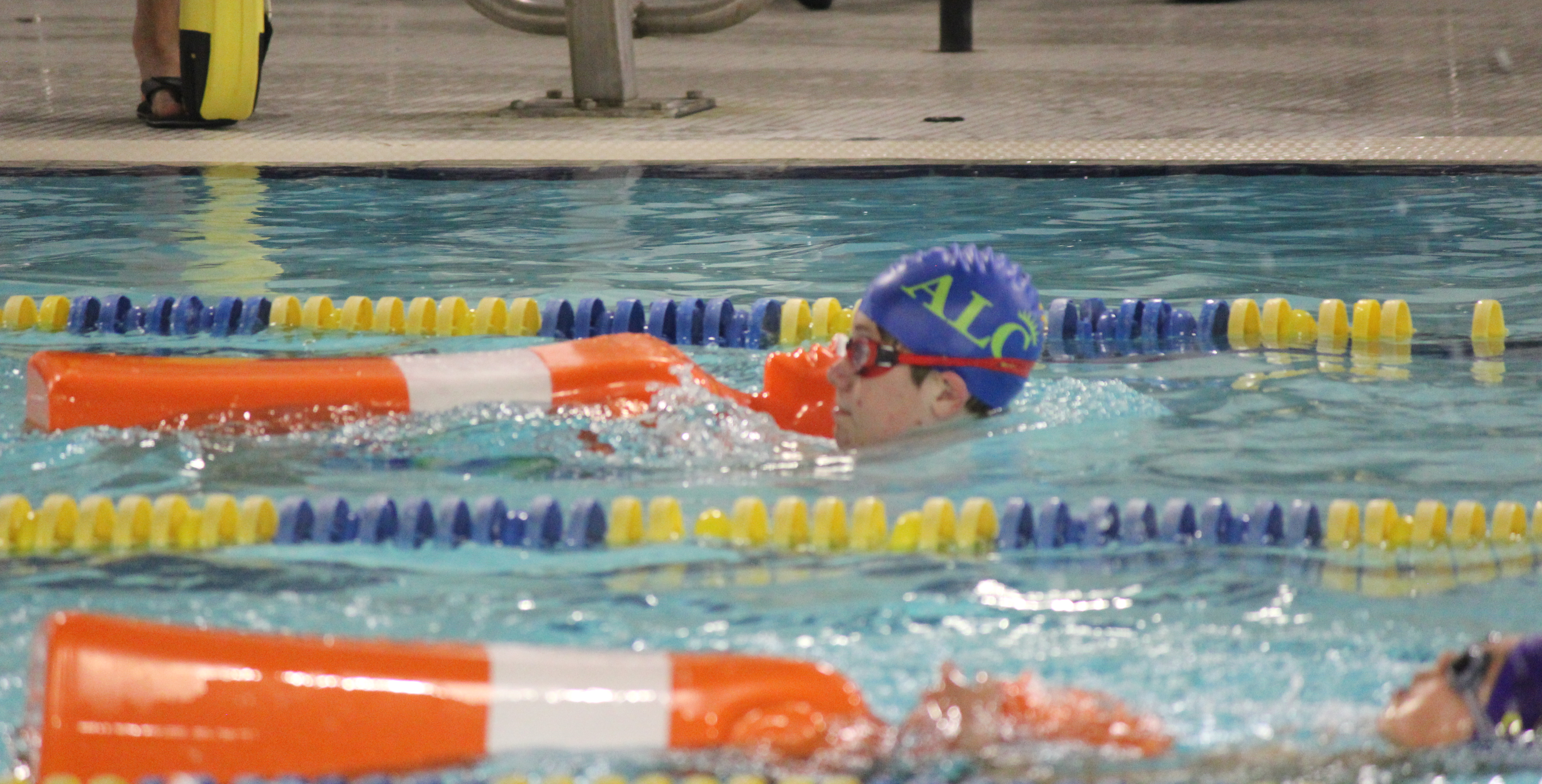 Image of swimmers in water