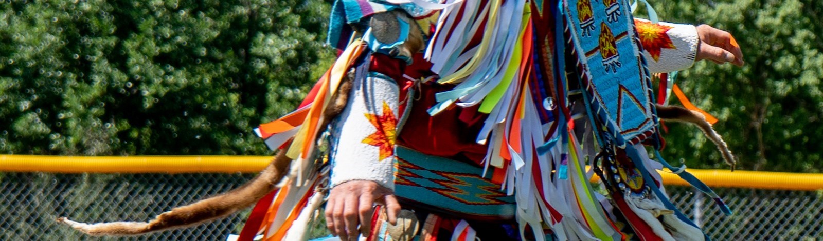 Indigenous Dancer in Traditional Dress