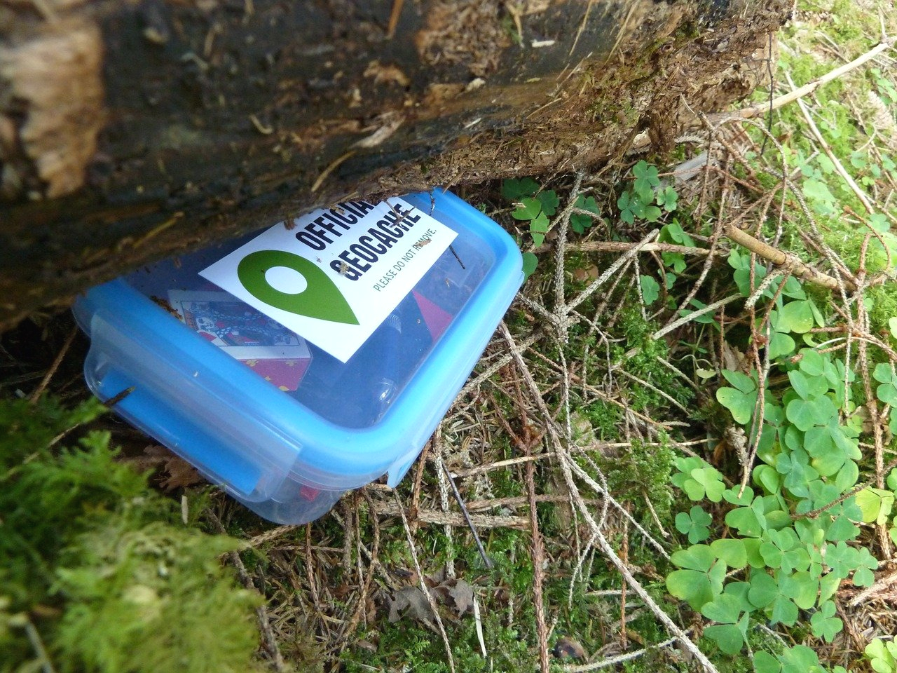 Image of geocache