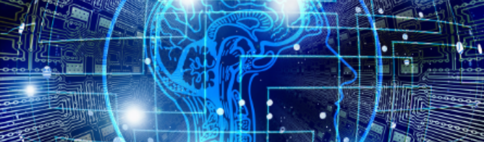 Brain