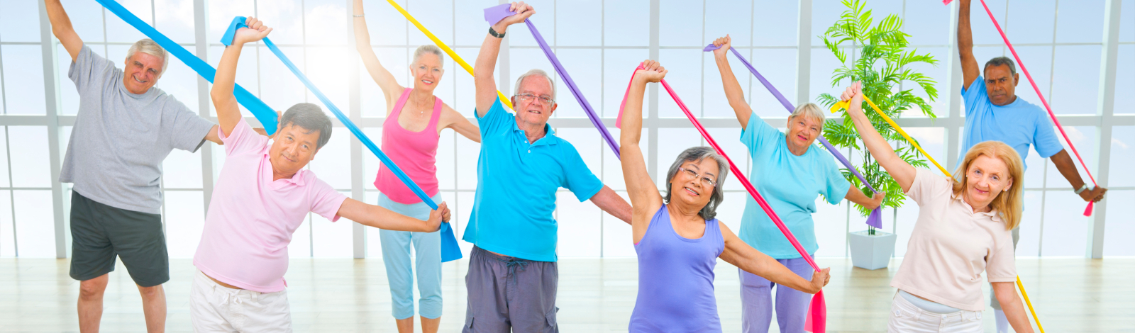 Group of older adults in fitness class