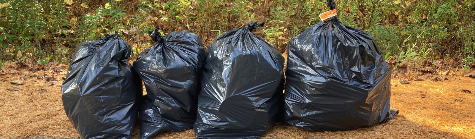 Image of Garbage Bags with orange tags on them