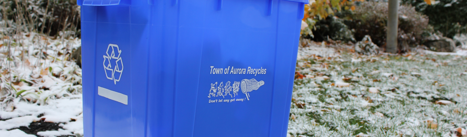 Blue recycling bin