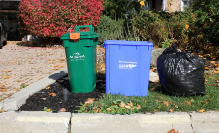 recycling, garbage and compost