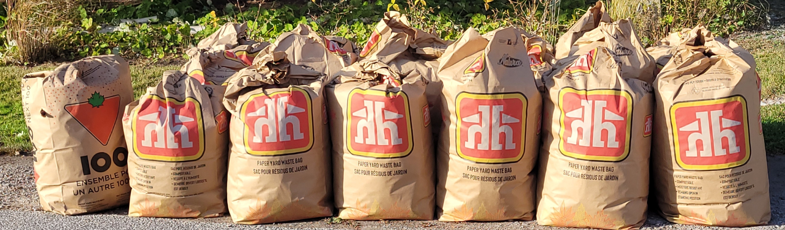 Image of yard waste bags on side of road