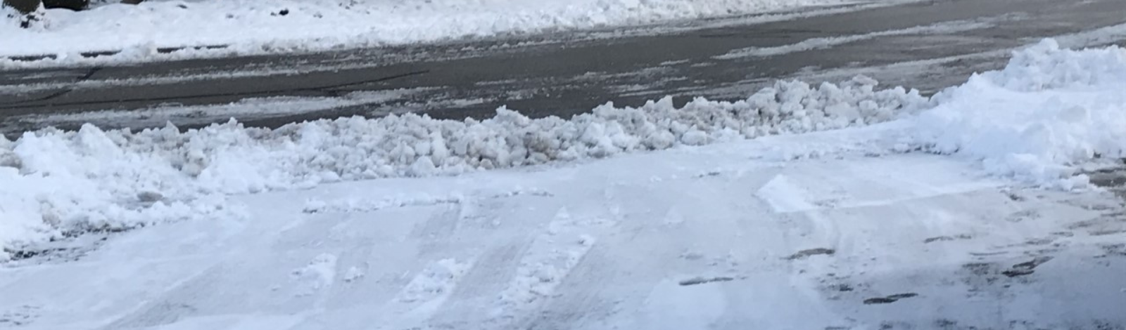 Image of windrow on driveway