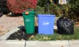 recycling, garbage and compost