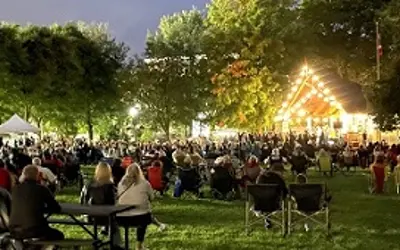 Large group of people enjoying night time outdoor concert