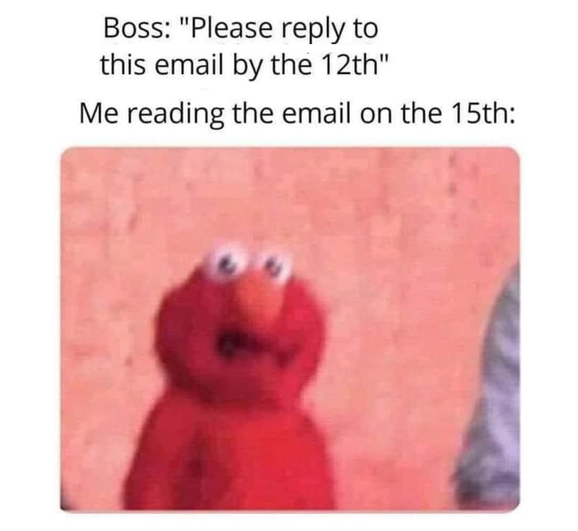 Test Only