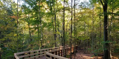 Image of David Tomlinson Nature Reserve Trail