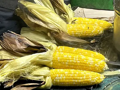 Corns on the cob roasted